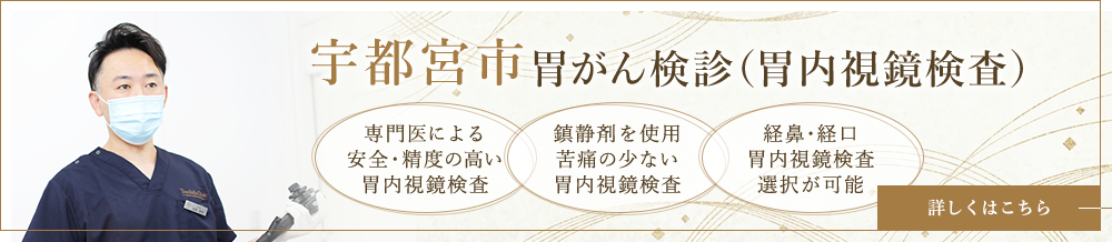 宇都宮市胃がん検診（胃内視鏡検査）