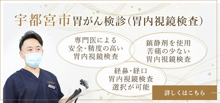 宇都宮市胃がん検診（胃内視鏡検査）