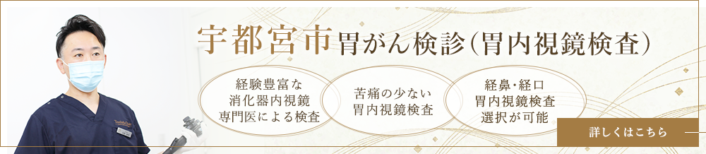 宇都宮市胃がん検診（胃内視鏡検査）