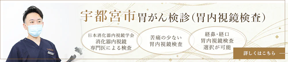 宇都宮市胃がん検診（胃内視鏡検査）